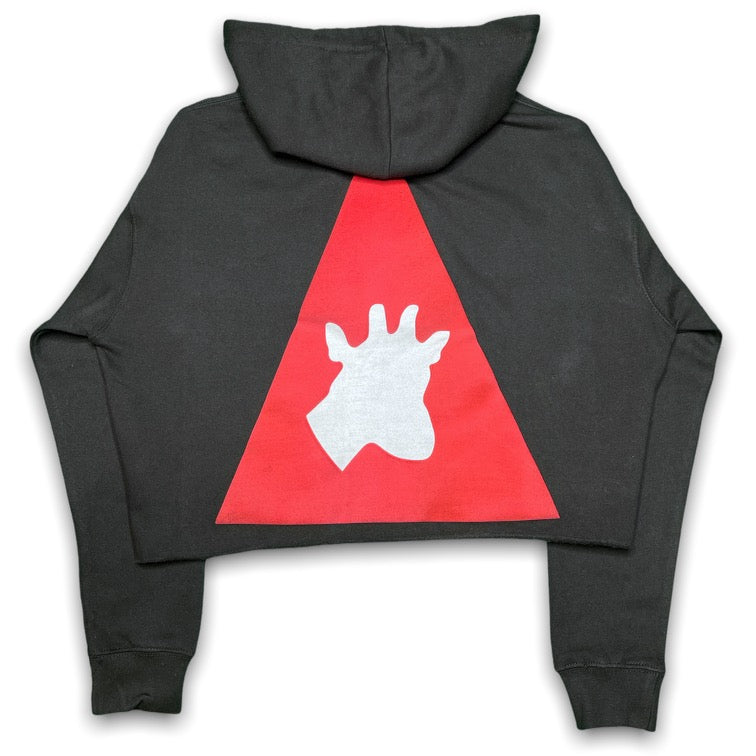 NARRIOCHY CROP TOP HOODIE